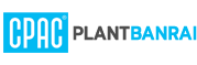 plantbanrai